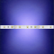 Лента 12В 4.8Вт 60Led синий без защиты - ТКМ-Электро
