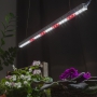 Фито-светильник T5 ECO 600мм для растений - ТКМ-Электро