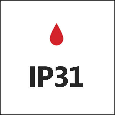 IP31